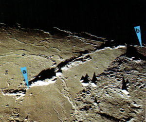 pp6519710728575.jpg