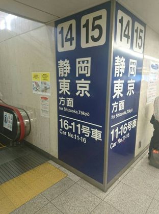 pp6520151000202.jpg