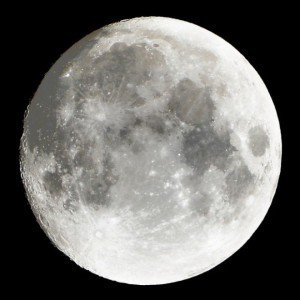 pp6520190220220.jpg