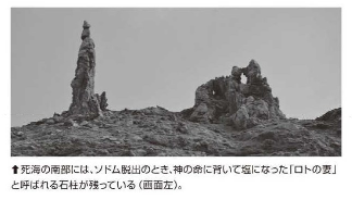 pp6520190410114.png