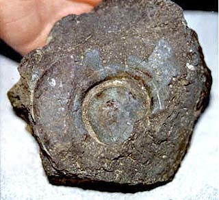 pp6530_00010500bc5103.jpg