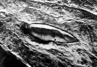 pp6530_00010500bc5111.jpg