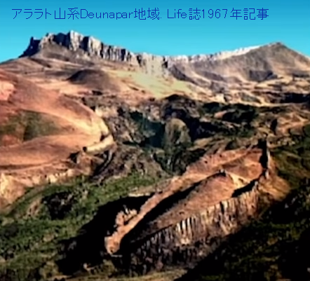 pp6530_00010500bc5119.png
